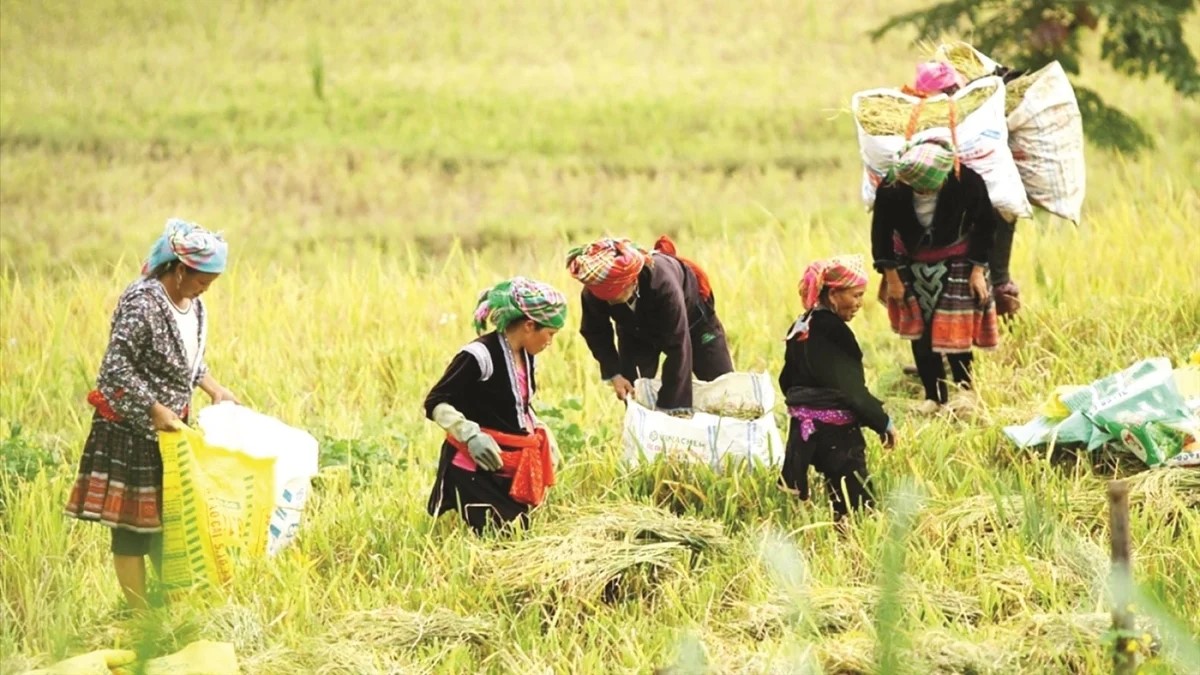 Truyền thông đi trước, đưa chính sách về tới mỗi cộng đồng

