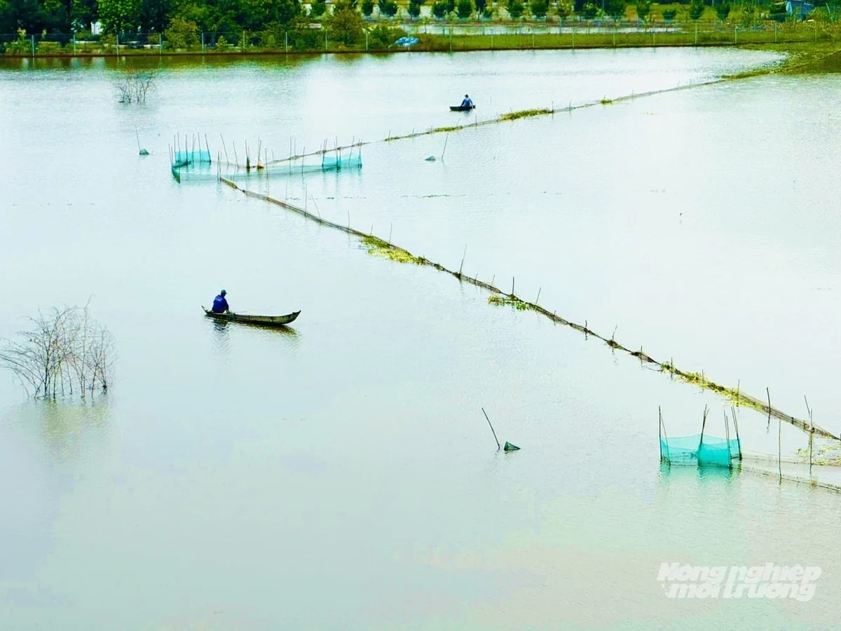 Chủ động nước tại chỗ để bảo đảm an ninh nguồn nước 