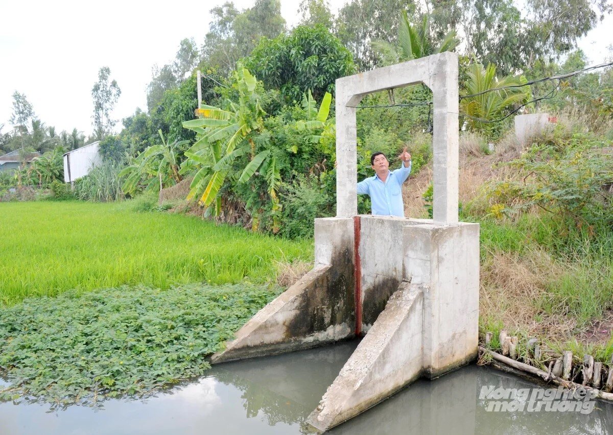 Đồng Tháp phân cấp thẩm quyền quản lý lĩnh vực thủy lợi