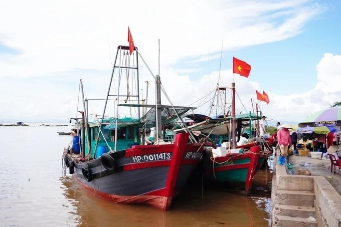 Gỡ vướng trong cấp Giấy chứng nhận an toàn thực phẩm với cảng cá công lập 