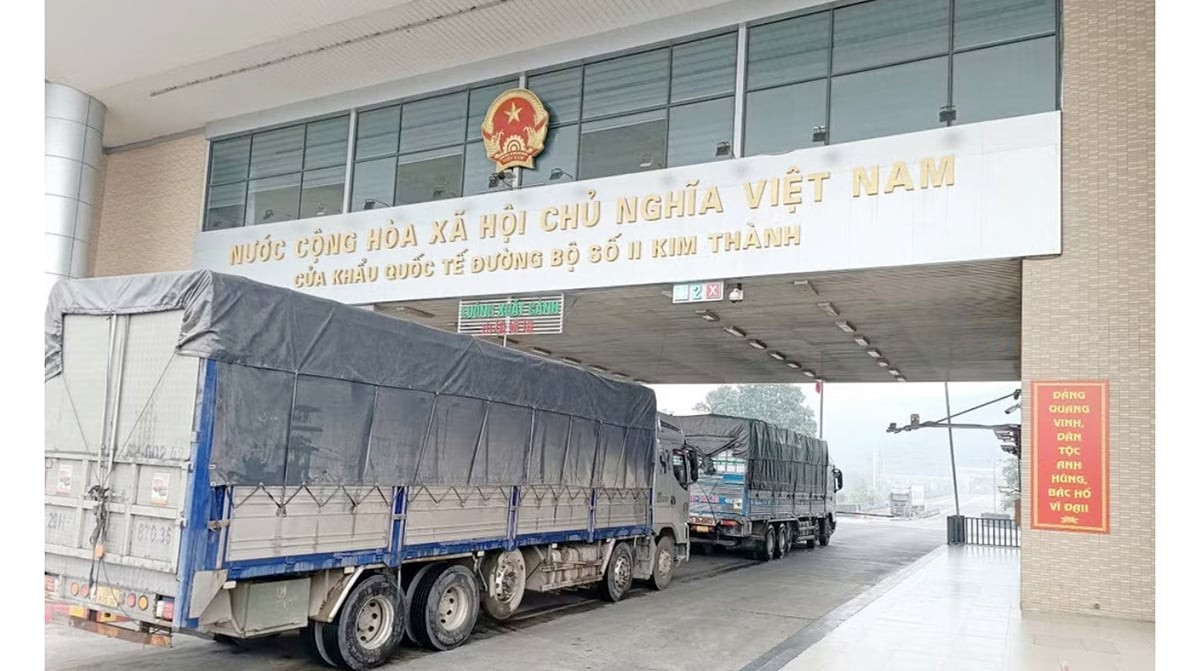 'Cầm tay chỉ việc' kiểm tra thực phẩm nhập khẩu 