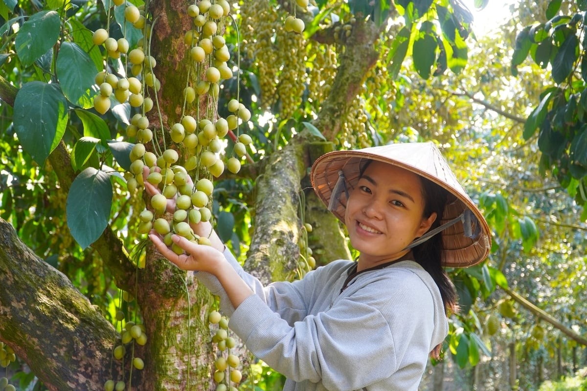 Gần 6.000 học viên tham gia chuỗi tập huấn chính sách nông thôn mới 