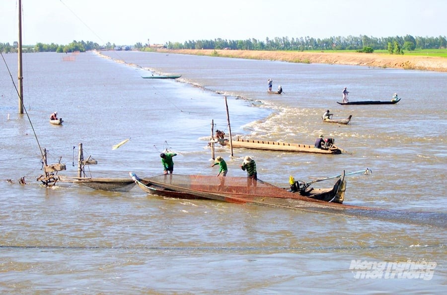 Dự kiến vận hành cống Tha La - Trà Sư từ 25/9 