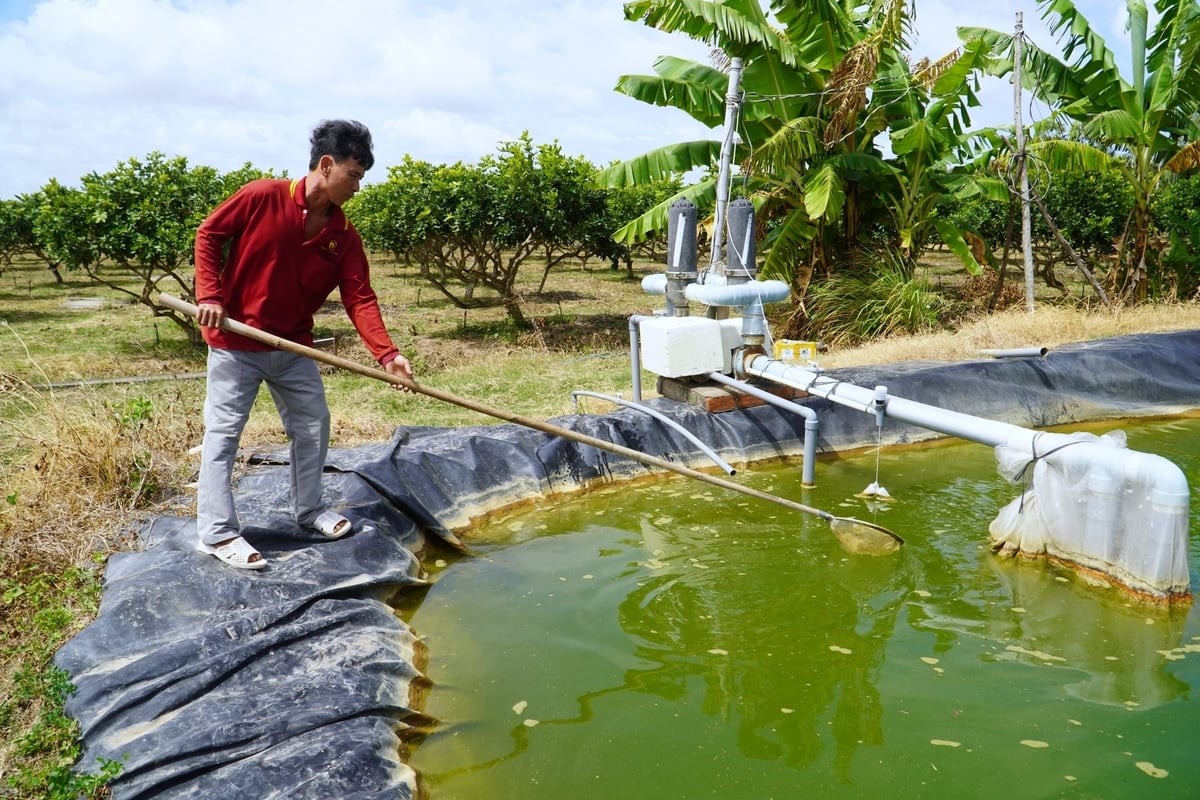 Cần Thơ lên phương án phòng, chống El Nino ở mức rất cao 