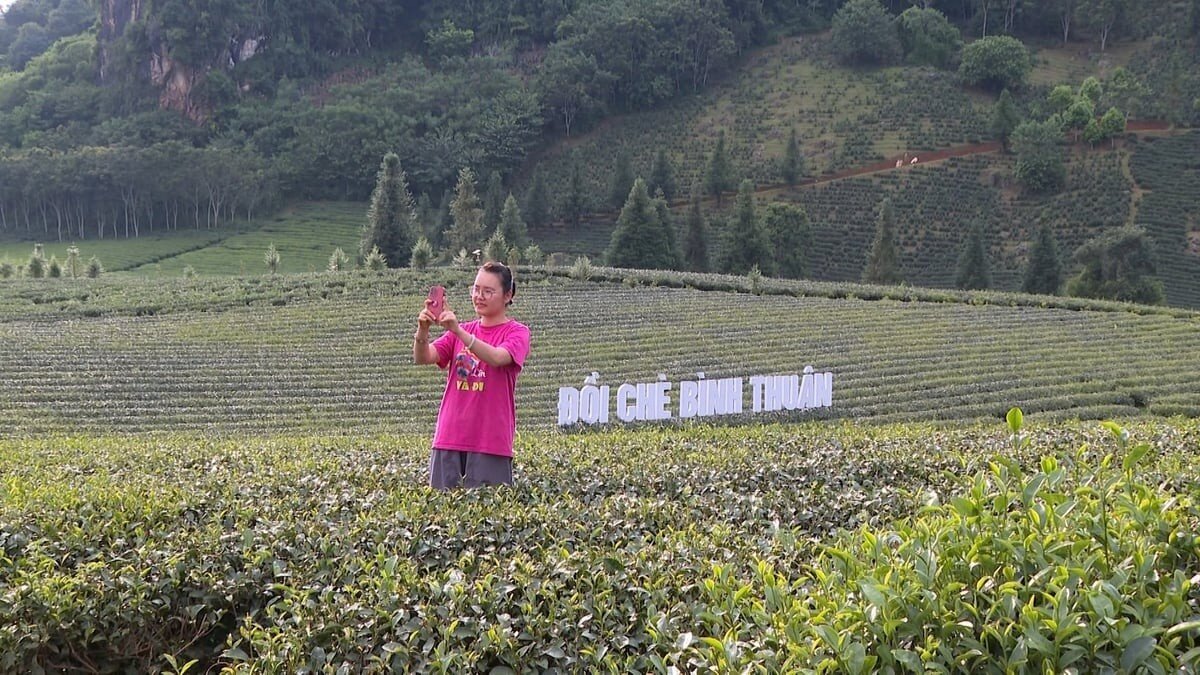 Gắn kỹ năng số với đầu ra nông sản
