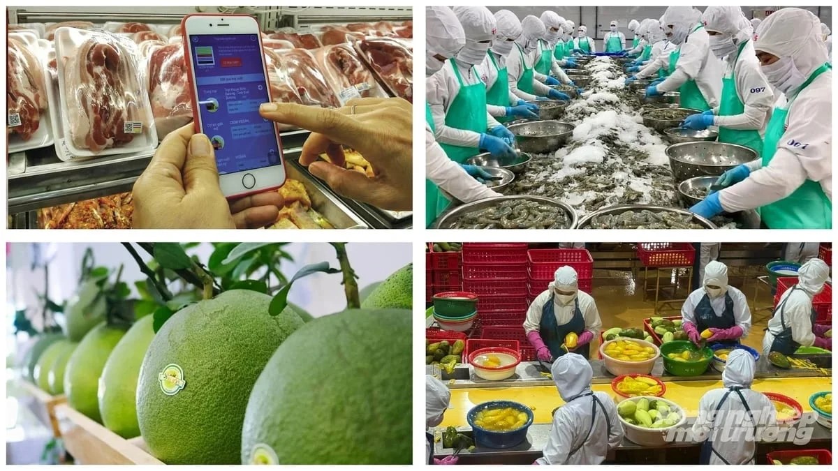 Hơn 800 nghìn sản phẩm đăng ký truy xuất nguồn gốc nông sản
