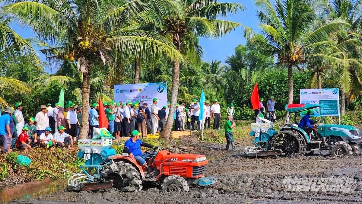 Đột phá mô hình lúa - tôm thích ứng biến đổi khí hậu tại ĐBSCL
