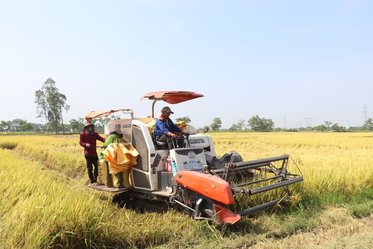 Khuyến nông 'tiếp sức' nông dân đầu tư máy móc hiện đại 