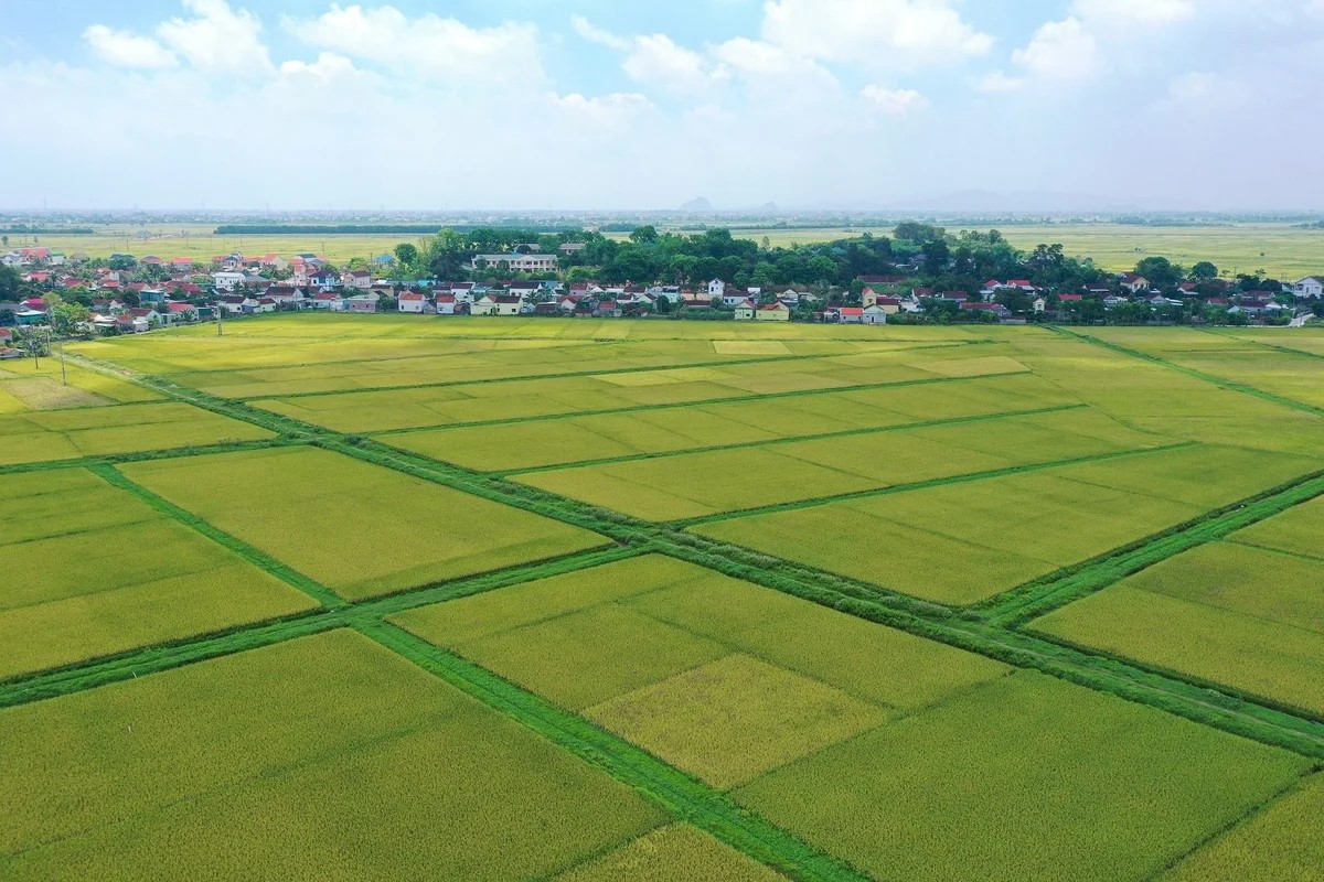 Hơn 200.000 tỷ đồng thuế, phí và tiền thuê đất được miễn, giảm, gia hạn 