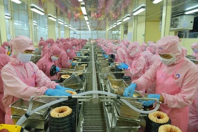 Xuất khẩu thủy sản 8 tháng đạt 7,94 tỷ USD 