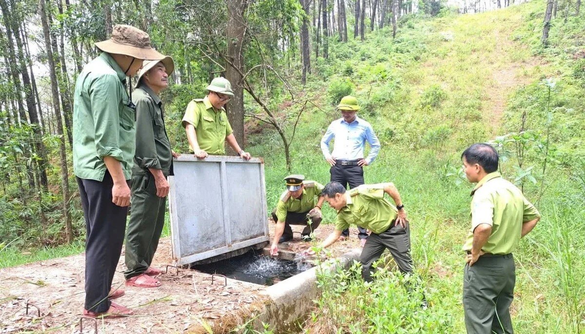 Chống cháy rừng hiệu quả bằng bể trữ nước 