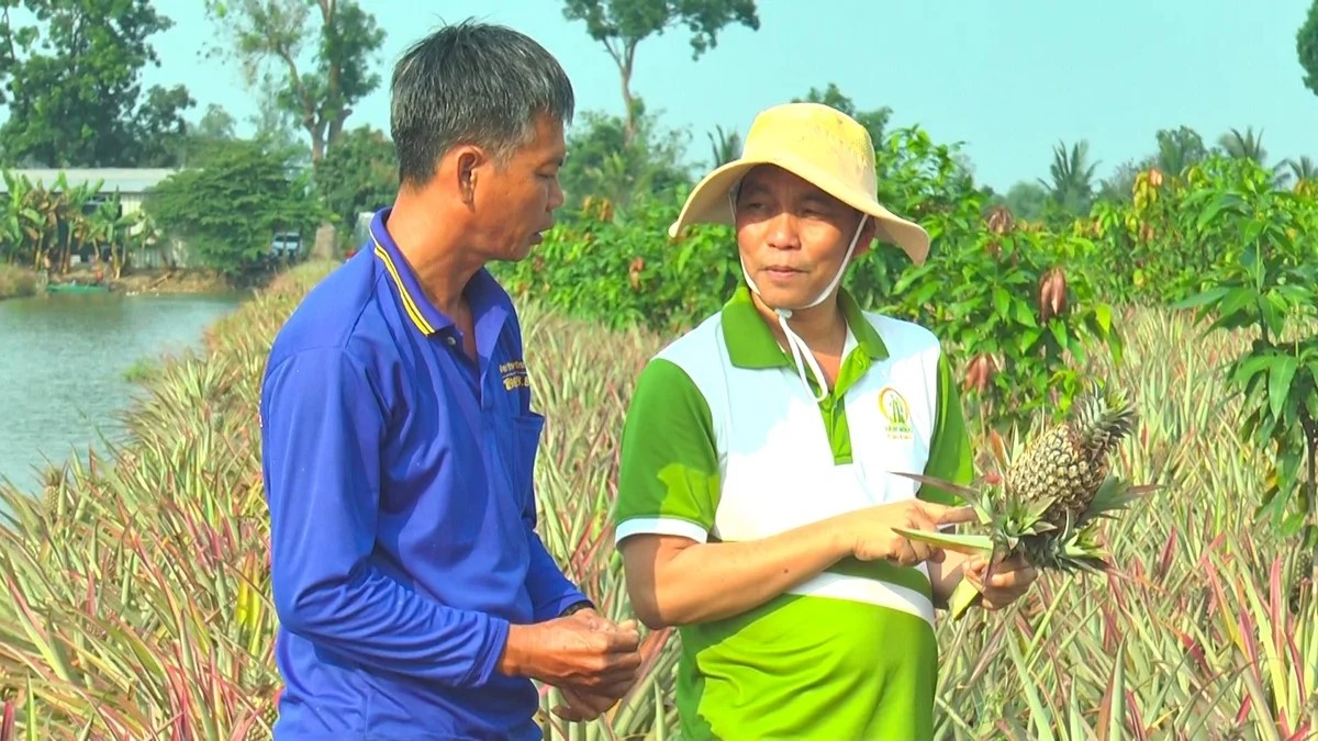 Đổi mới mô hình hợp tác xã, gắn sản xuất với chuỗi giá trị 