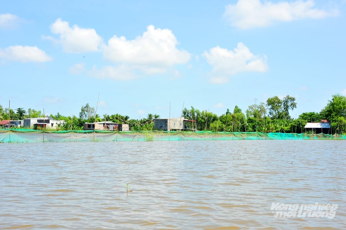 100% xã, phường tại Đồng Tháp phải lập tổ công tác bảo vệ nguồn lợi thủy sản