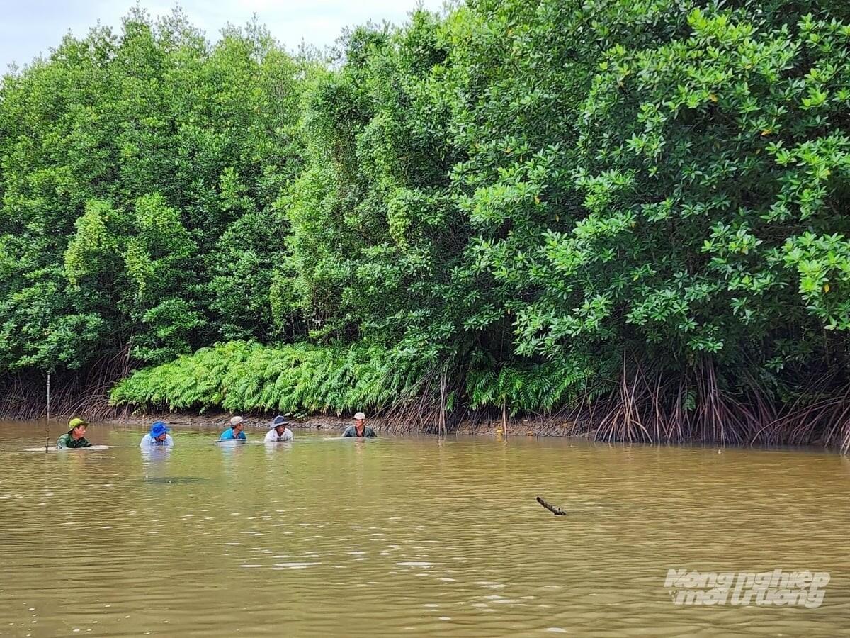 Những cơ hội mới phát triển hệ thống đê biển