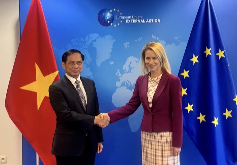 Đoàn thanh tra IUU của EU sẽ đến Việt Nam trong tháng tới