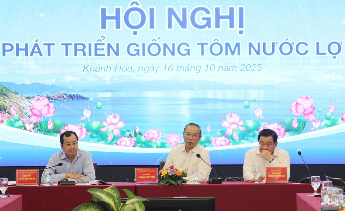 Cần sớm chủ động nguồn tôm bố mẹ để sản xuất tôm giống