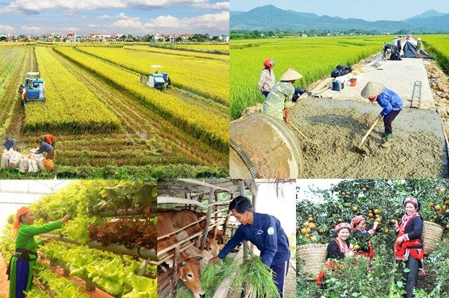 Tích hợp 3 chương trình mục tiêu quốc gia, tránh chồng chéo