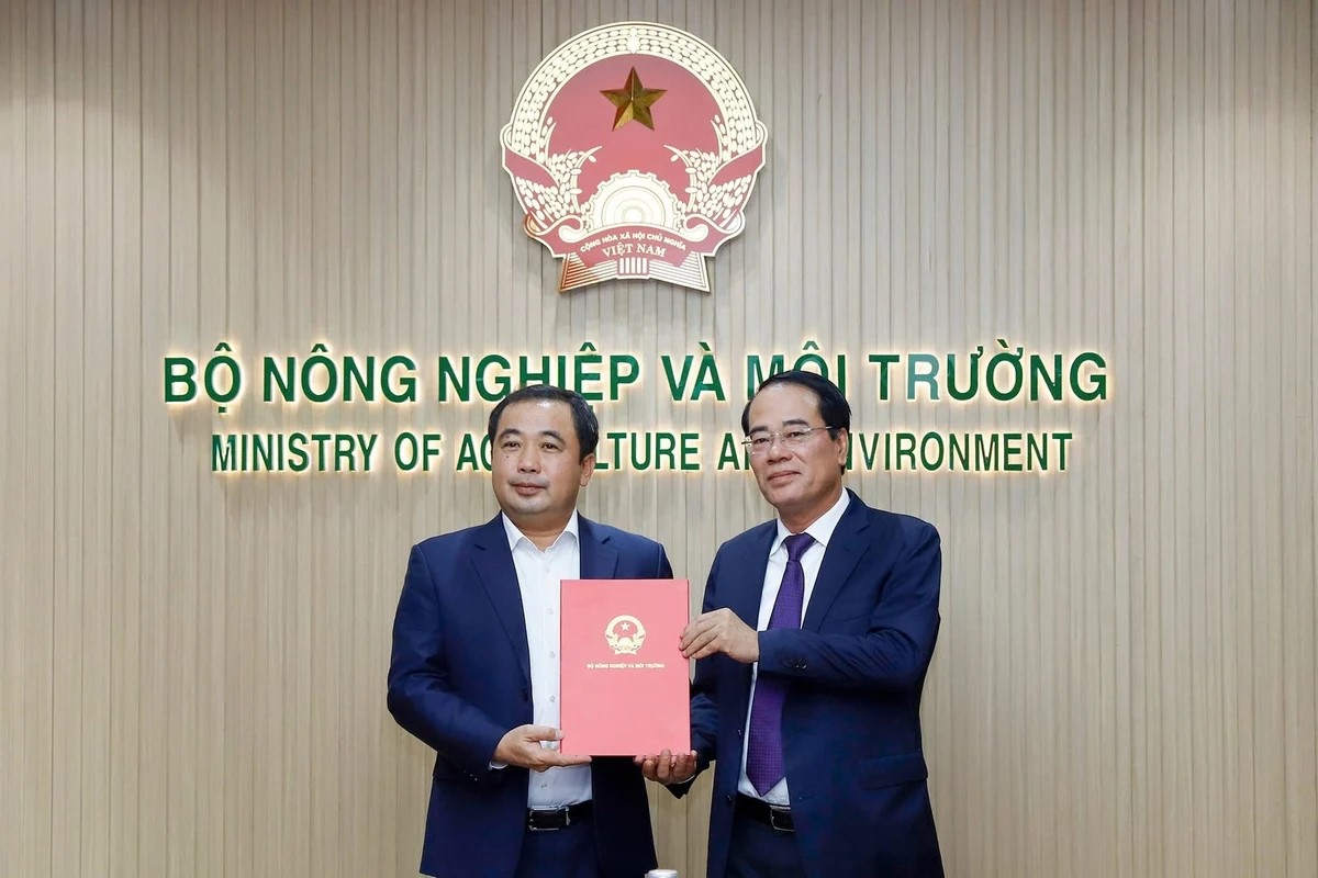 mae.gov.vn