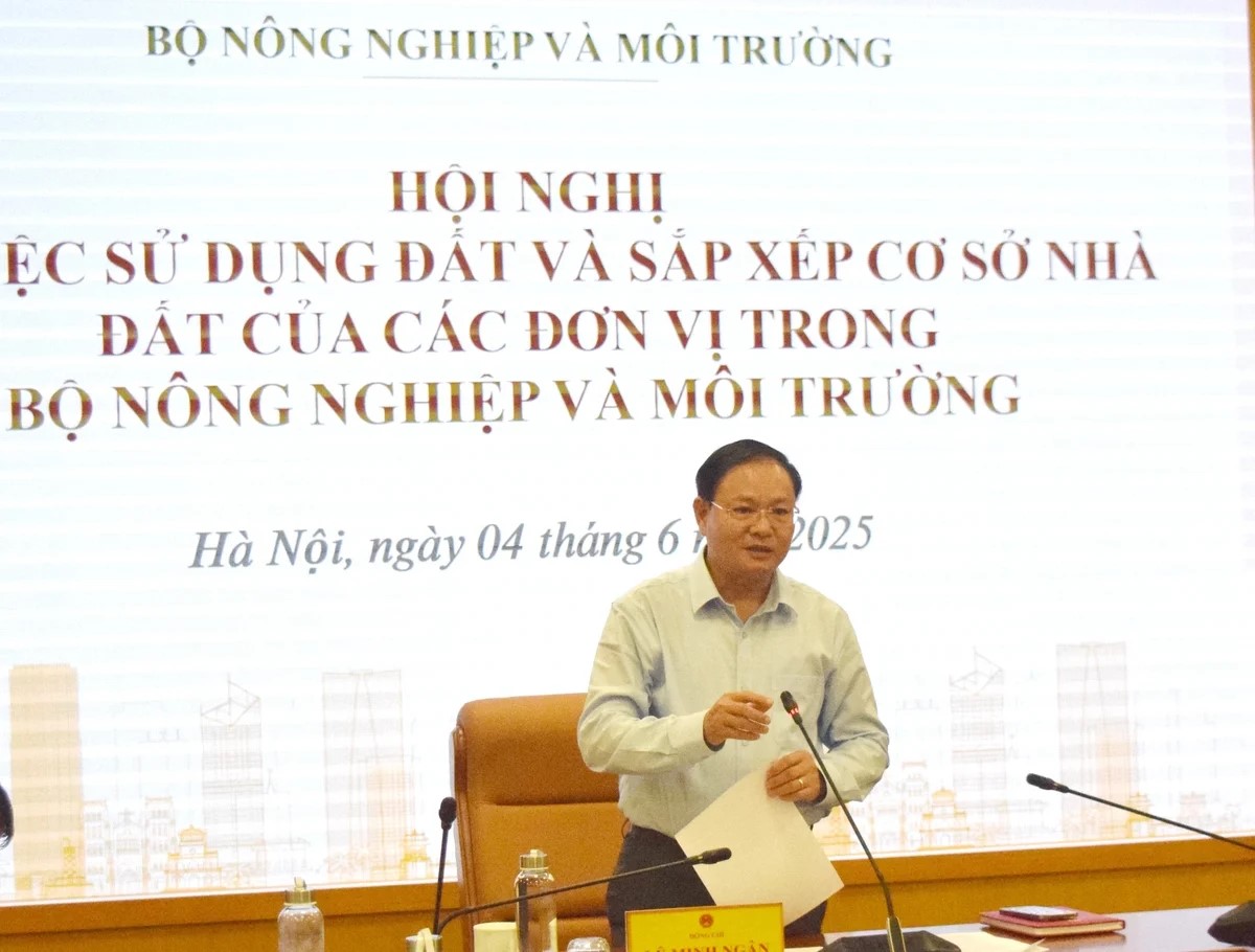 Sử dụng đất, sắp xếp cơ sở nhà đất phải đúng, tiết kiệm, hiệu quả