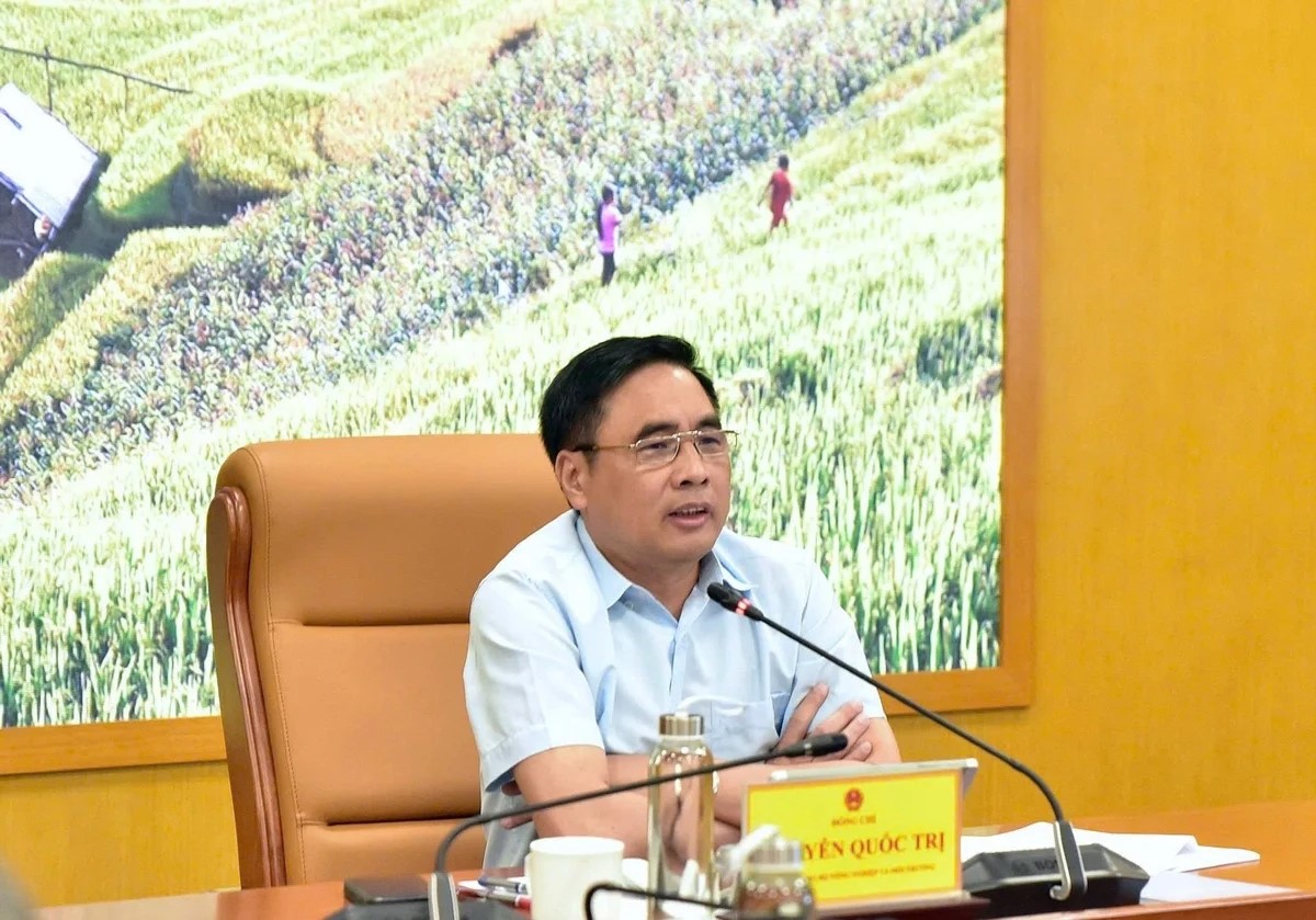 Ưu tiên ổn định ngành chế biến gỗ, hoàn thiện pháp lý chính quyền cơ sở
