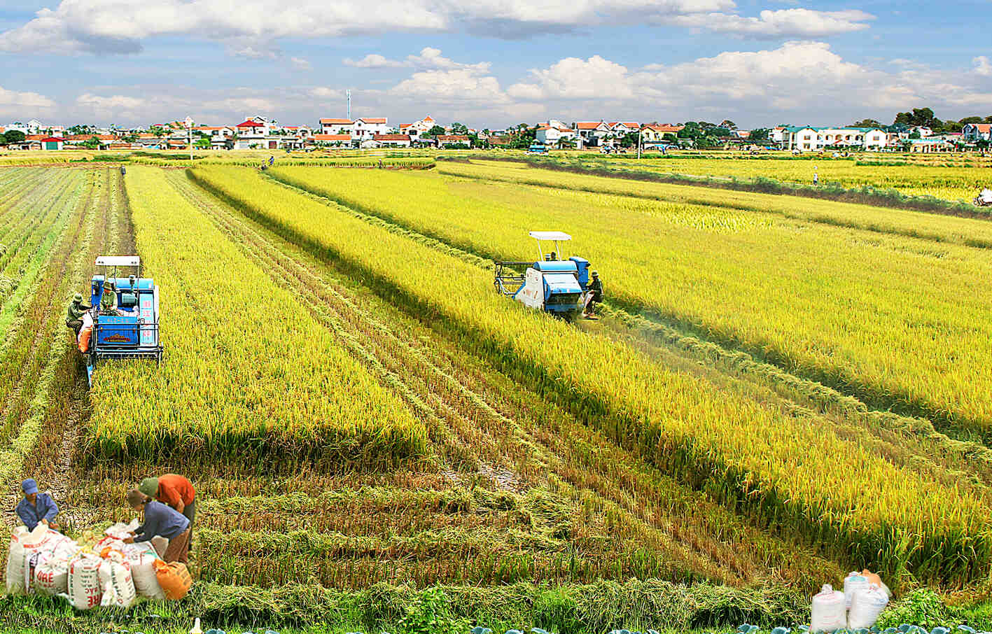 Bộ Nông nghiệp và Môi trường công bố thủ tục hành chính nội bộ được sửa đổi, bổ sung; thủ tục hành chính nội bộ bị bãi bỏ lĩnh vực nông thôn mới