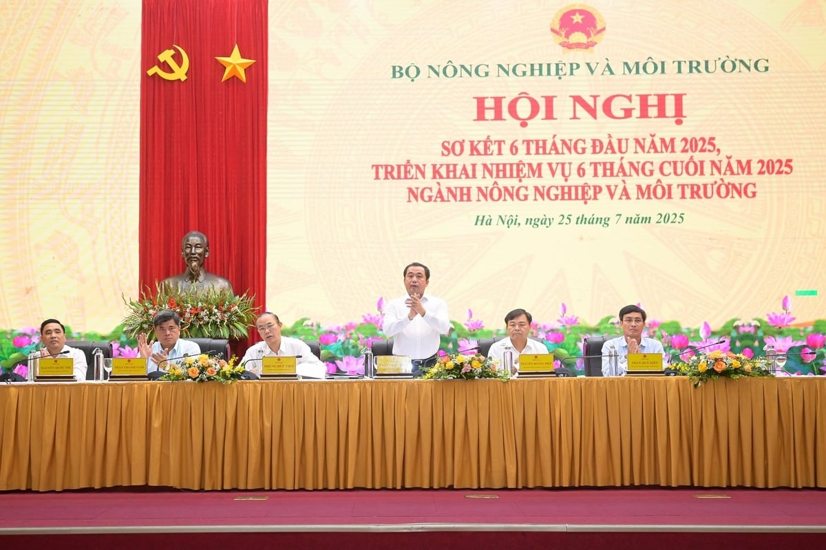 Xuất khẩu nông lâm thủy sản vượt kỳ vọng, đạt 33,84 tỷ USD, tăng 15,5%