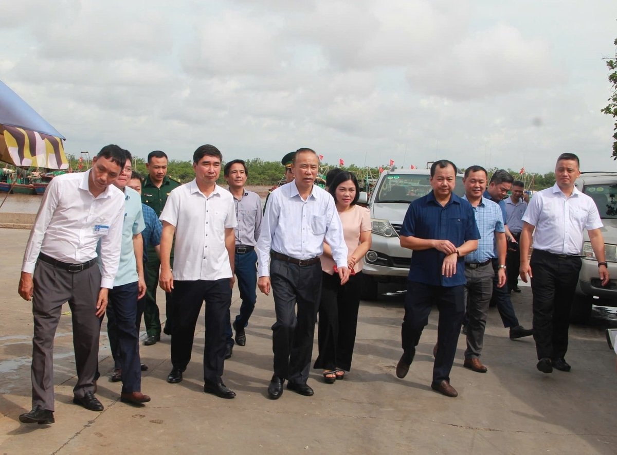 Hải Phòng cam kết 'một tháng hành động' để siết chặt quản lý tàu cá