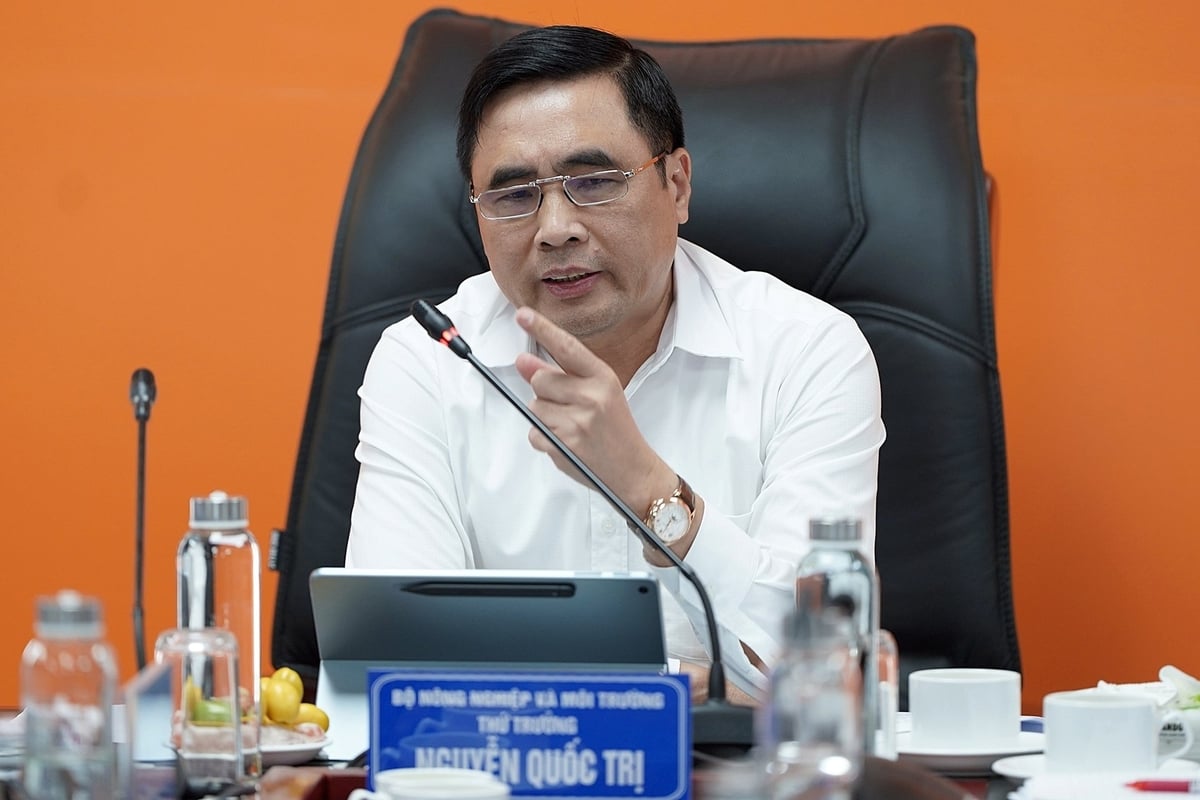 Khung pháp lý đồng bộ - động lực cho ngành gỗ tăng trưởng