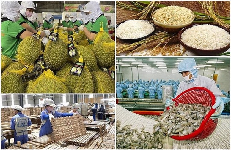 Tăng cường truy xuất nguồn gốc, đảm bảo chất lượng sản phẩm nông, lâm, thủy sản xuất khẩu
