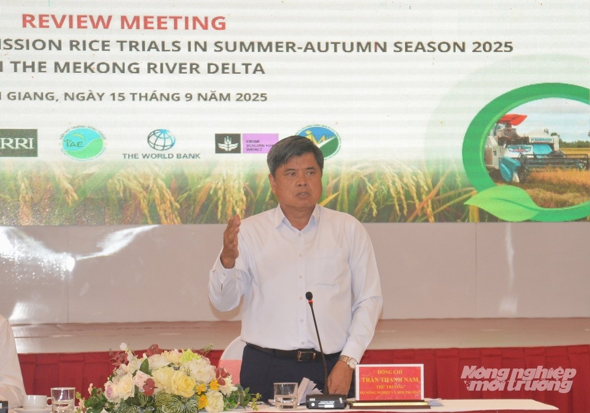 Hoàn thiện quy trình, mở rộng diện tích tham gia Đề án 1 triệu ha