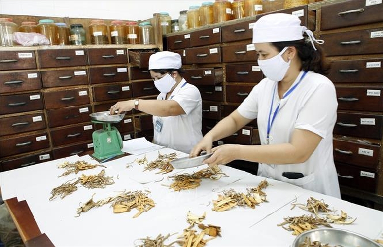 Phát huy hơn nữa vị thế, vai trò của y học cổ truyền trong chăm sóc sức khỏe nhân dân