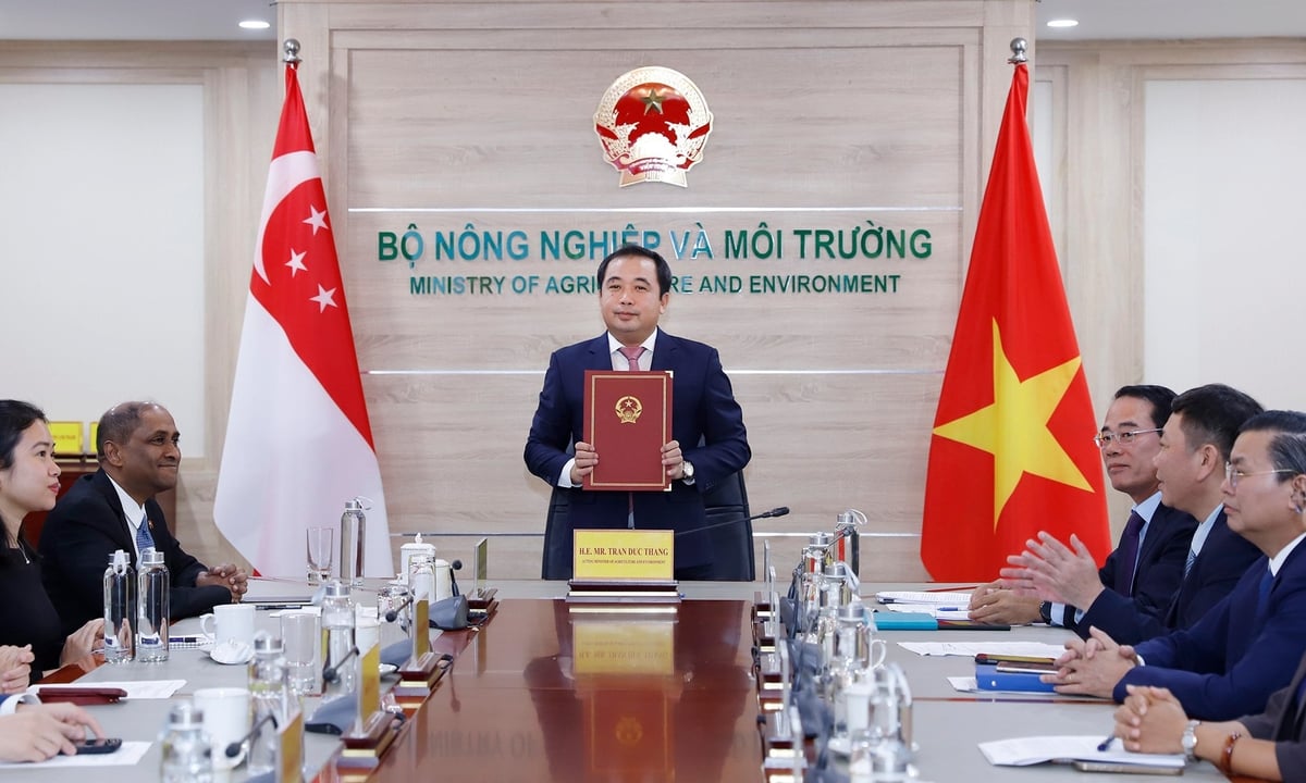 Việt Nam - Singapore ký thỏa thuận hợp tác carbon theo Điều 6 Thỏa thuận Paris