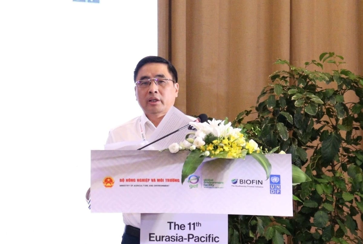 BIOFIN EAPAC 11 thúc đẩy tài chính cho đa dạng sinh học