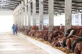 Thực tiễn triển khai sau gần một năm triển khai Nghị định số 106/2024/NĐ-CP của Chính phủ