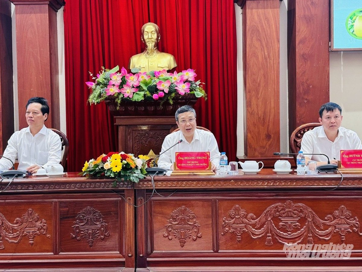 Giữ nhịp sản xuất, nâng chuẩn chất lượng cây trồng