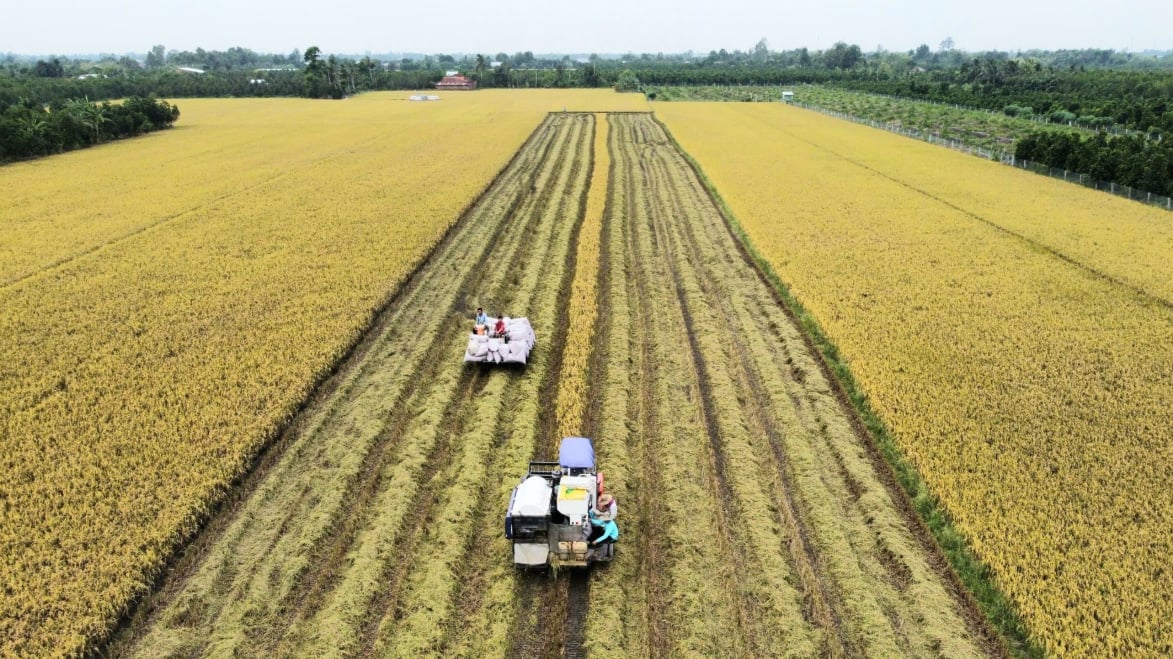 Thủ tướng chỉ đạo 'gỡ thẻ vàng' IUU và bảo đảm an ninh lương thực năm 2026