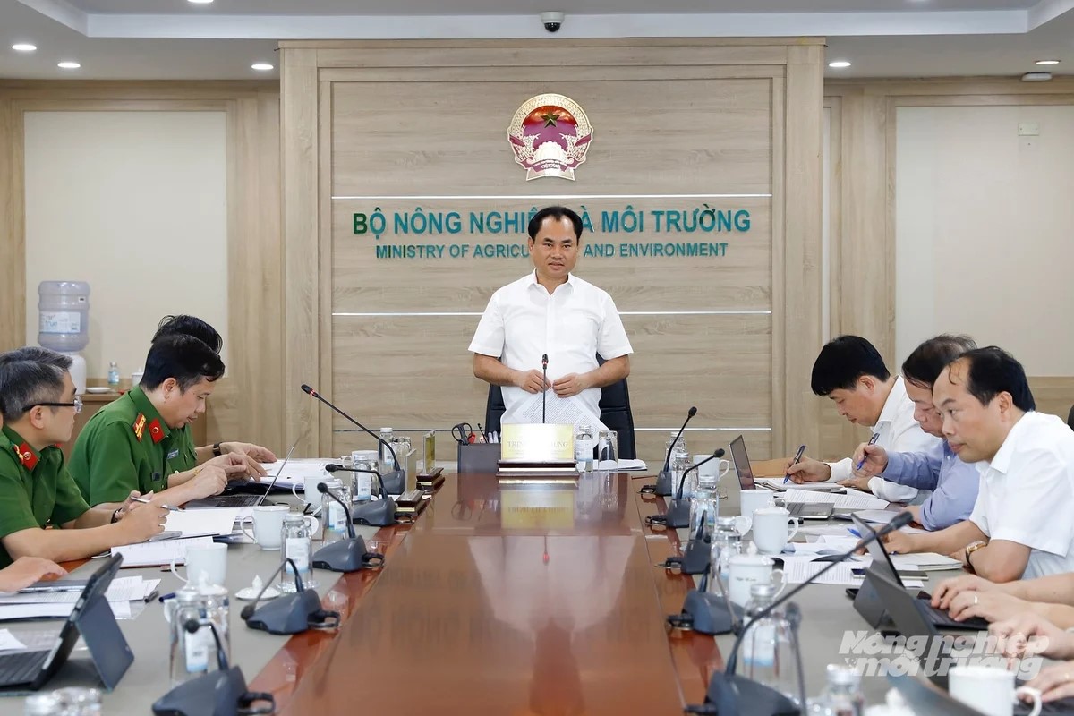 Đẩy nhanh tiến độ hoàn thiện cơ sở dữ liệu quốc gia về đất đai
