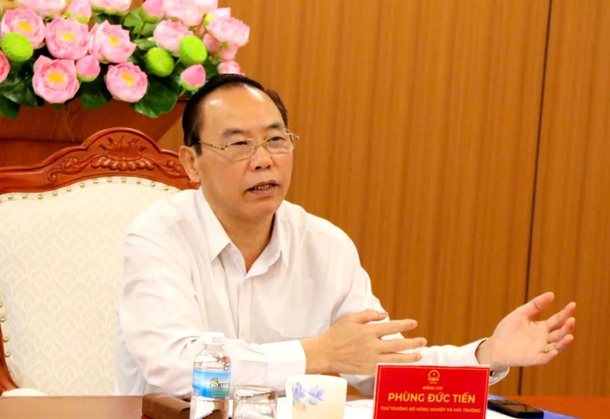 Khánh Hòa dồn tổng lực gỡ ‘thẻ vàng’ IUU trước đợt thanh tra lần thứ 5