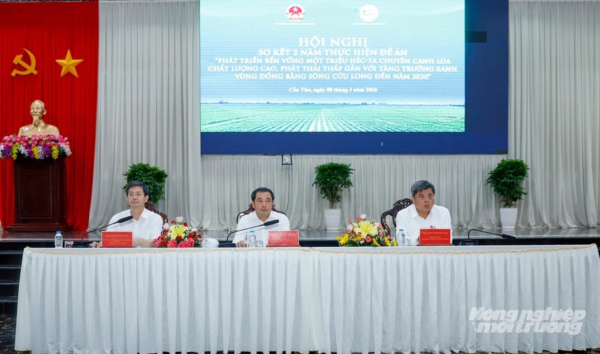 Đề án 1 triệu ha lúa chất lượng cao tạo bước ngoặt cho ngành lúa gạo