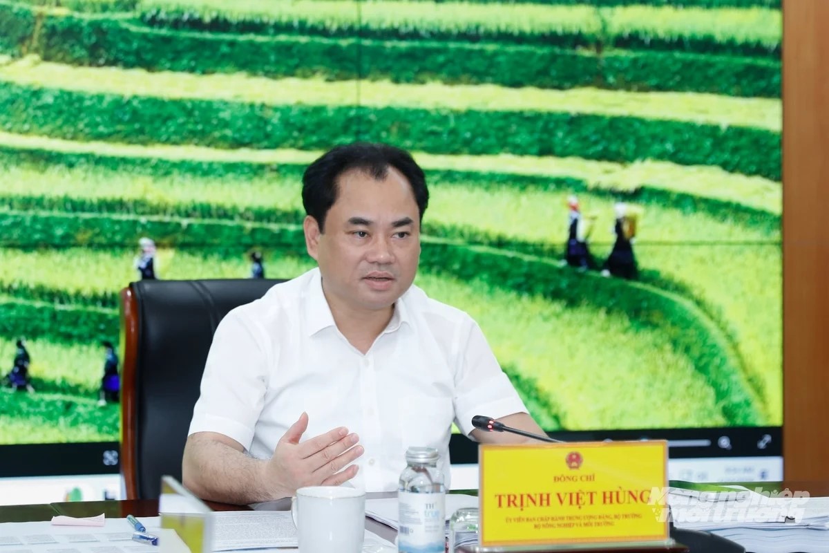 Bộ trưởng Trịnh Việt Hùng chỉ đạo đẩy nhanh sửa đổi 3 luật đất đai, môi trường, biển đảo