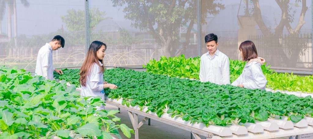 Bộ Nông nghiệp và Môi trường đẩy mạnh tái cơ cấu hệ thống tổ chức khoa học và công nghệ công lập