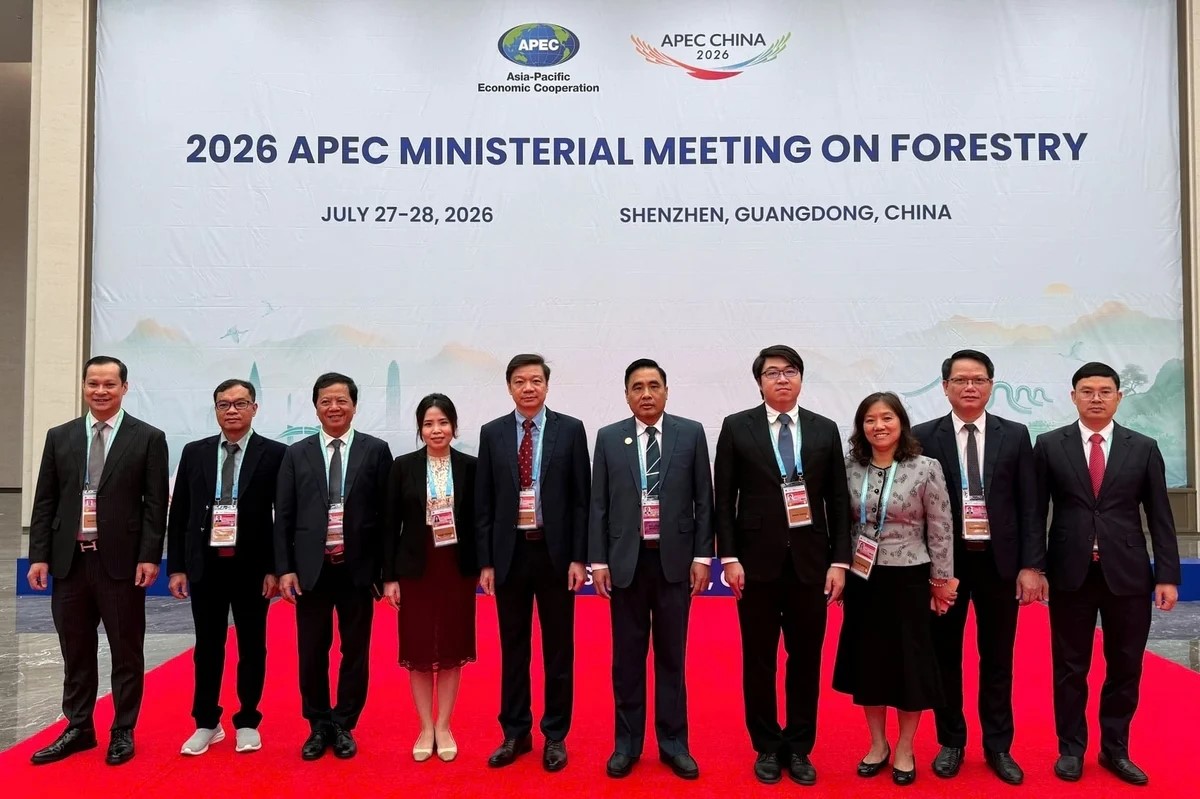 Hội nghị Bộ trưởng Lâm nghiệp APEC 2026 nhấn mạnh hợp tác quản trị hệ sinh thái rừng