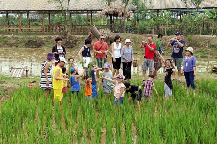 Khẩn trương hoàn thiện cơ chế, chính sách triển khai Chương trình mục tiêu quốc gia giai đoạn 2026-2030
