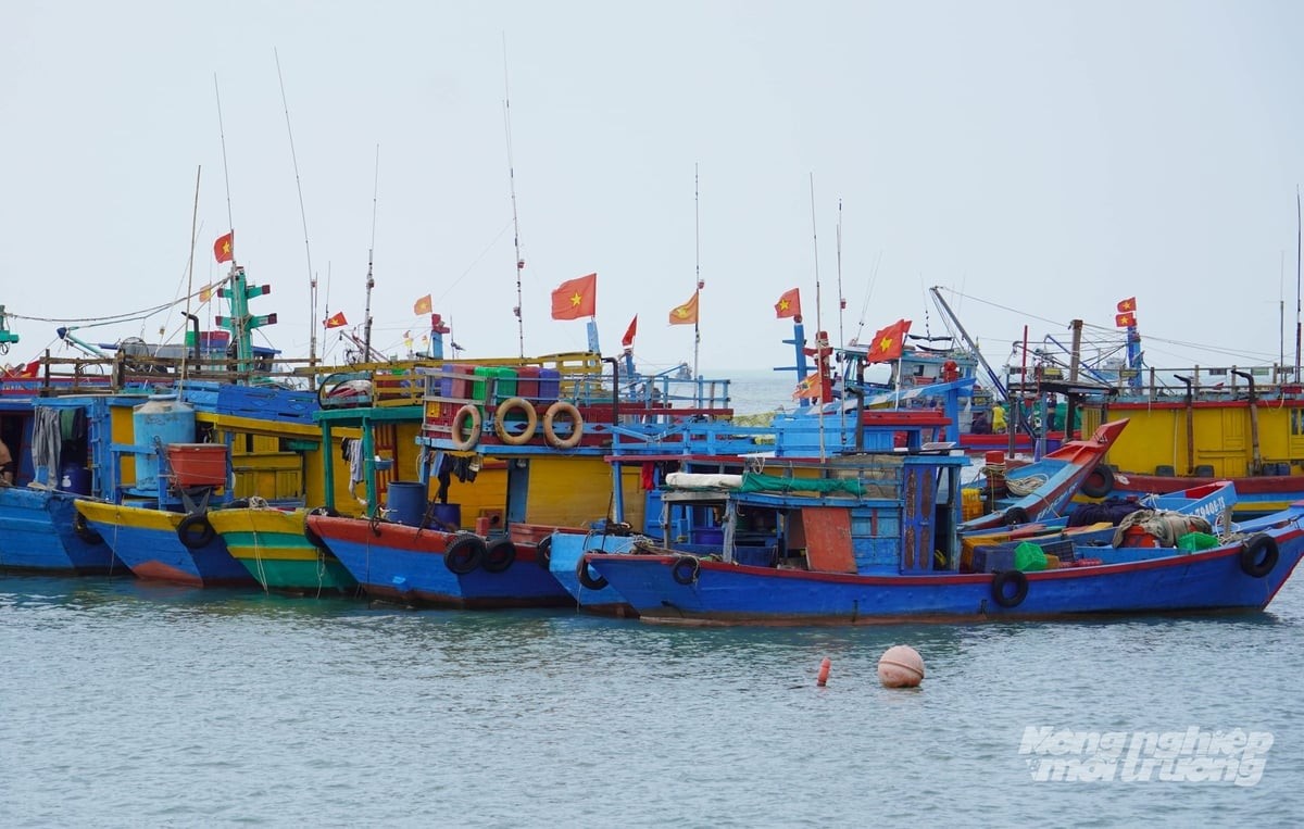 Chống khai thác IUU: Chuyển mạnh từ “hoàn thành nhiệm vụ” sang kết quả thực chất, có thể kiểm chứng
