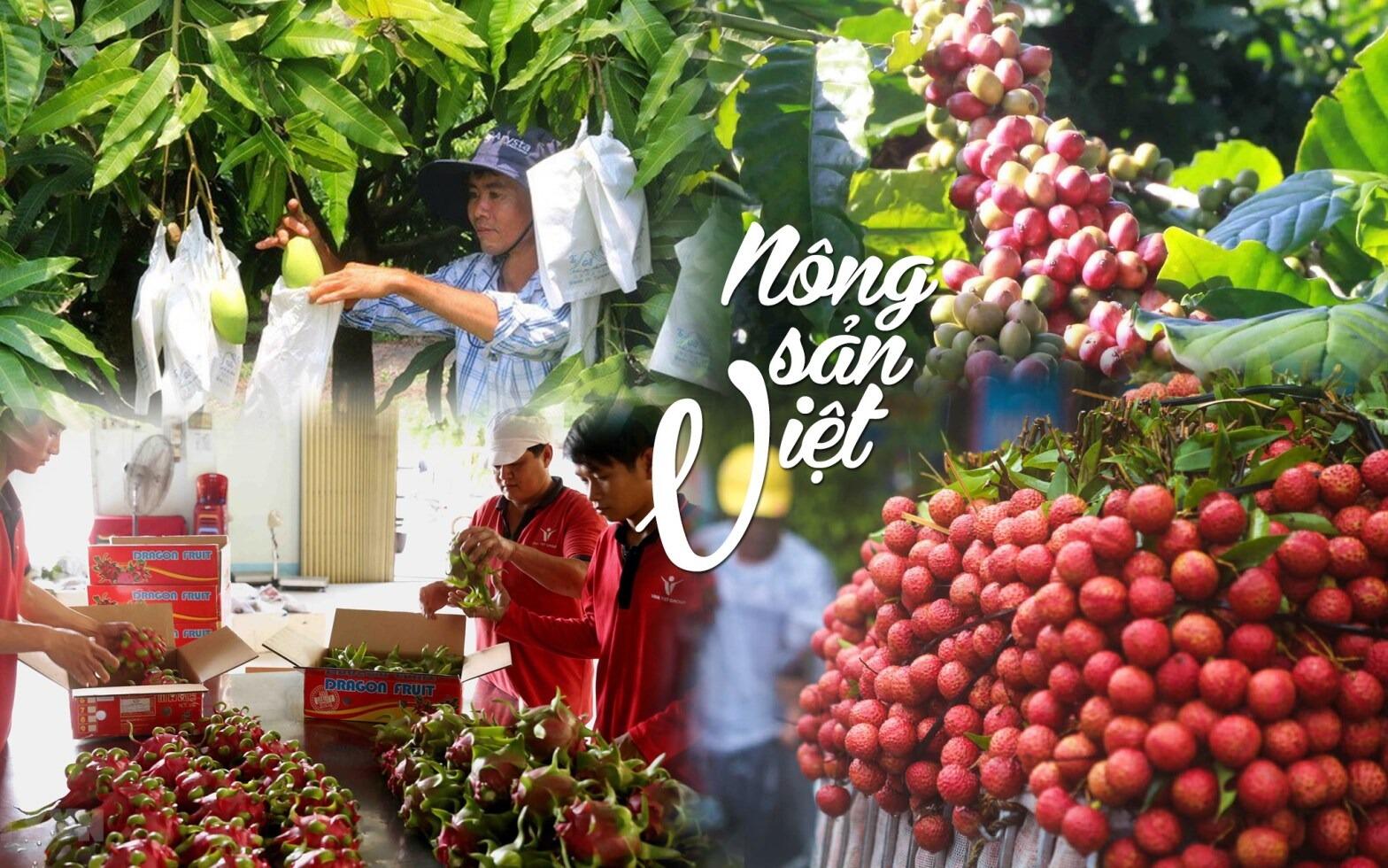 Thúc đẩy sản xuất nông nghiệp, lưu thông, phân phối sản phẩm nông sản chất lượng gắn với Cuộc vận động “Người Việt Nam ưu tiên dùng hàng Việt Nam” giai đoạn 2021 – 2025 