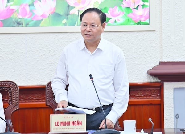 Đổi mới, phát huy tối đa tiềm năng, giá trị sử dụng đất